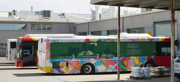 Adelaide Metro Volvo B5RLEH Volgren CR228L 1901